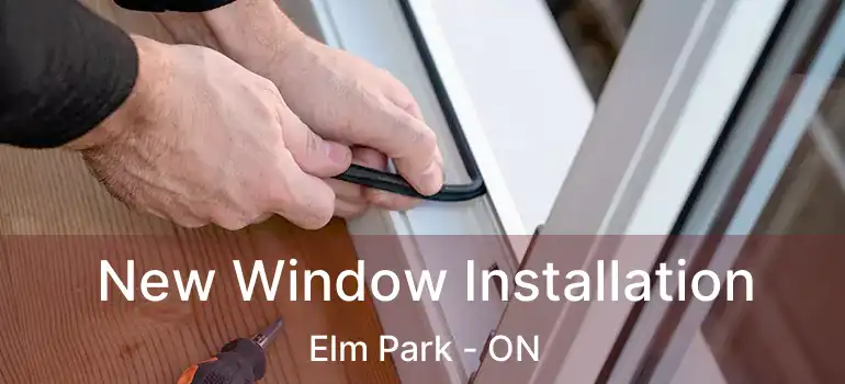  New Window Installation Elm Park - ON