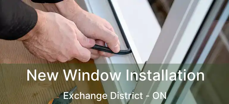  New Window Installation Exchange District - ON