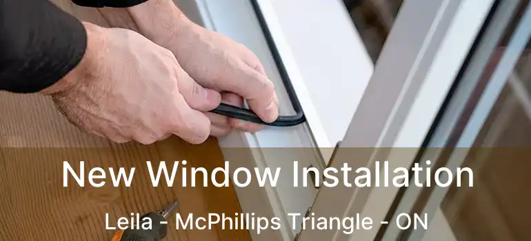  New Window Installation Leila - McPhillips Triangle - ON
