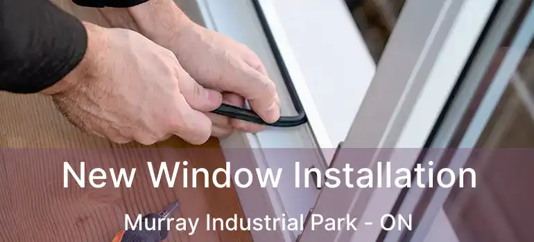  New Window Installation Murray Industrial Park - ON