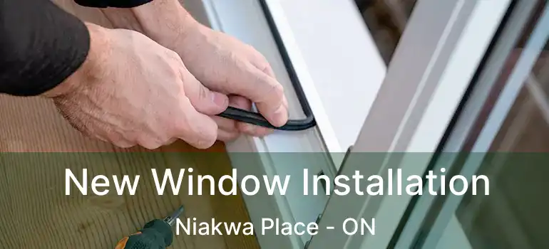  New Window Installation Niakwa Place - ON