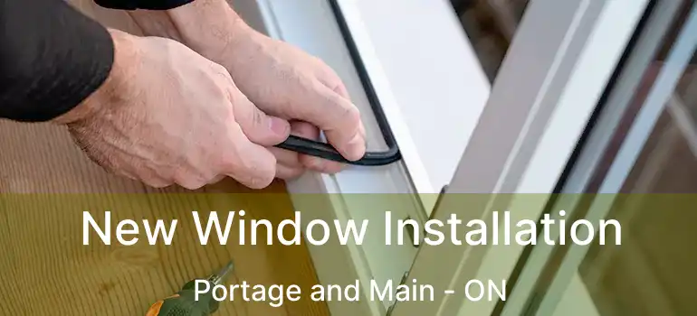  New Window Installation Portage and Main - ON