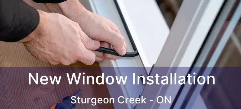  New Window Installation Sturgeon Creek - ON