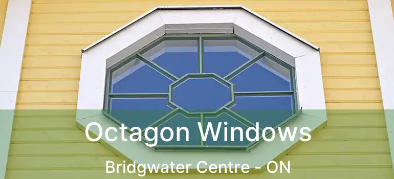  Octagon Windows Bridgwater Centre - ON