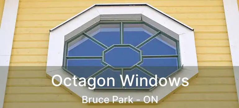  Octagon Windows Bruce Park - ON