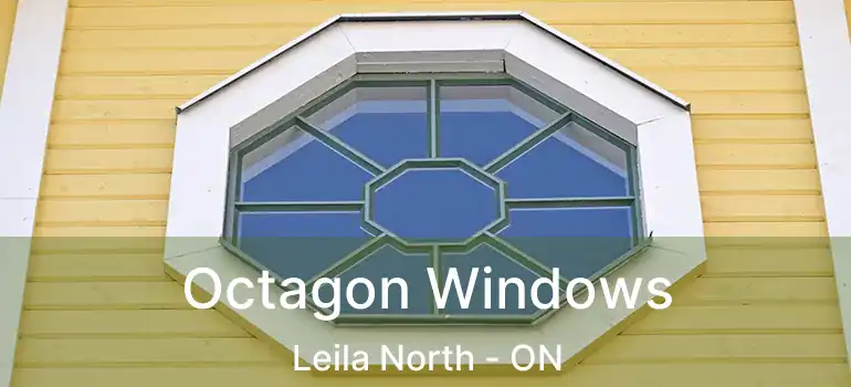  Octagon Windows Leila North - ON