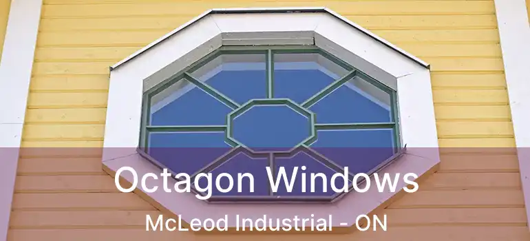  Octagon Windows McLeod Industrial - ON