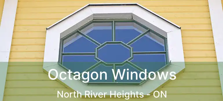  Octagon Windows North River Heights - ON