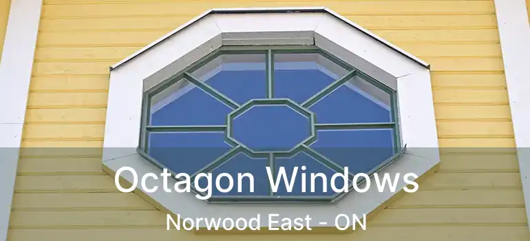  Octagon Windows Norwood East - ON