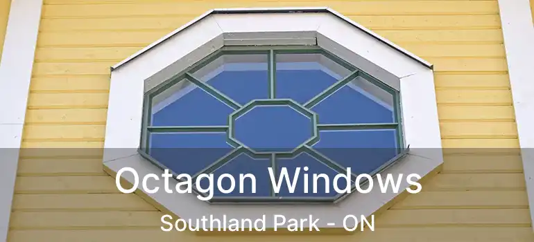  Octagon Windows Southland Park - ON