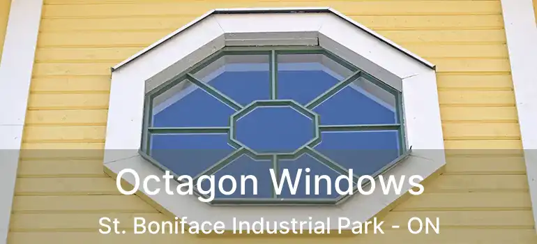  Octagon Windows St. Boniface Industrial Park - ON