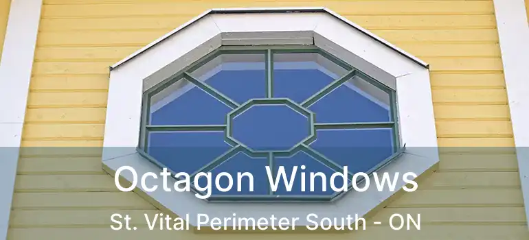  Octagon Windows St. Vital Perimeter South - ON