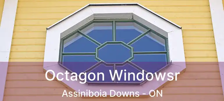  Octagon Windowsr Assiniboia Downs - ON