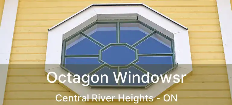 Octagon Windowsr Central River Heights - ON