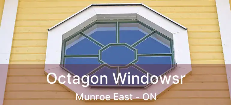  Octagon Windowsr Munroe East - ON