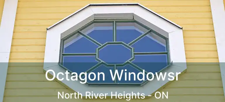  Octagon Windowsr North River Heights - ON