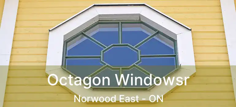  Octagon Windowsr Norwood East - ON