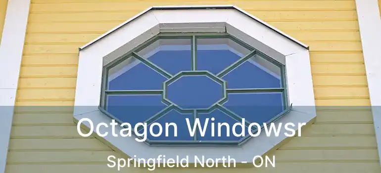  Octagon Windowsr Springfield North - ON
