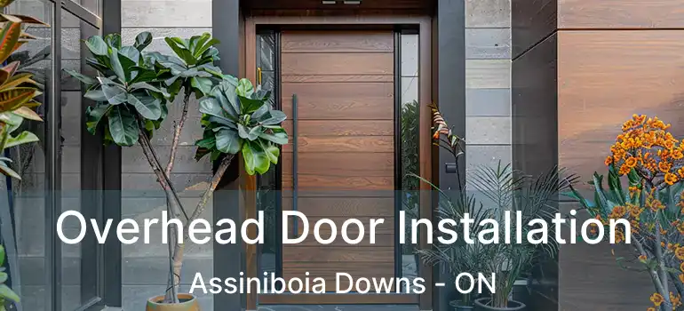  Overhead Door Installation Assiniboia Downs - ON