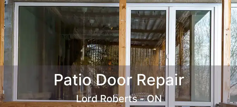  Patio Door Repair Lord Roberts - ON