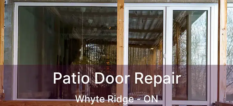  Patio Door Repair Whyte Ridge - ON