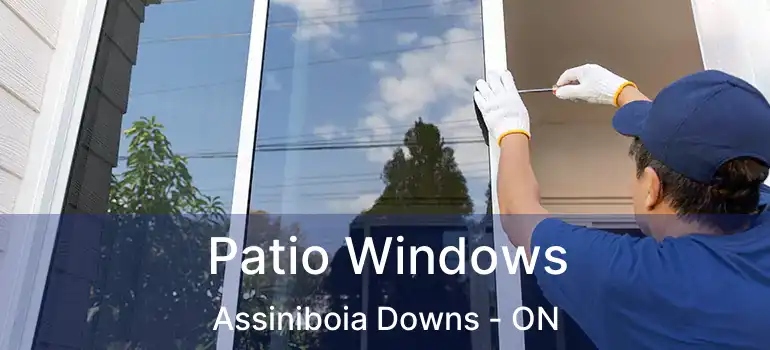  Patio Windows Assiniboia Downs - ON