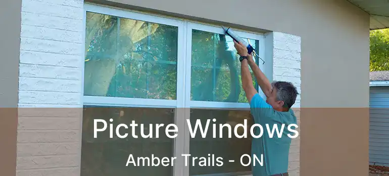  Picture Windows Amber Trails - ON