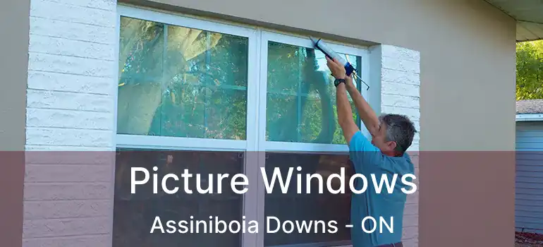  Picture Windows Assiniboia Downs - ON