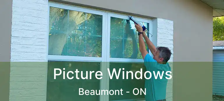  Picture Windows Beaumont - ON