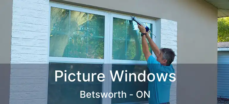  Picture Windows Betsworth - ON