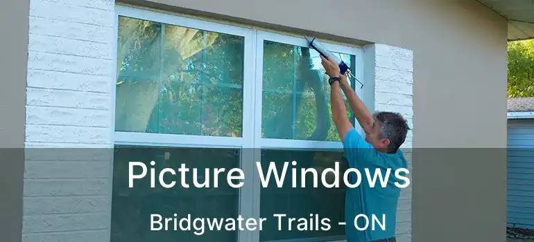 Picture Windows Bridgwater Trails - ON