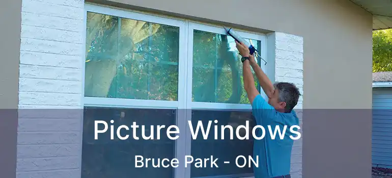  Picture Windows Bruce Park - ON