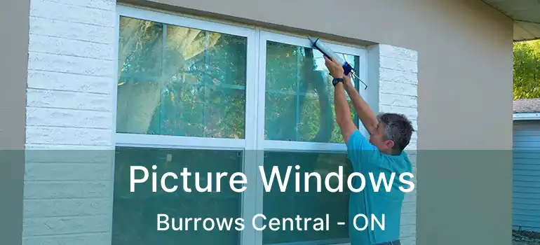  Picture Windows Burrows Central - ON