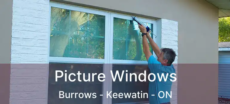  Picture Windows Burrows - Keewatin - ON