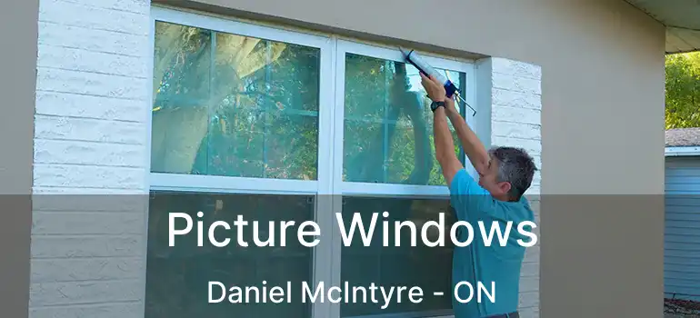  Picture Windows Daniel McIntyre - ON