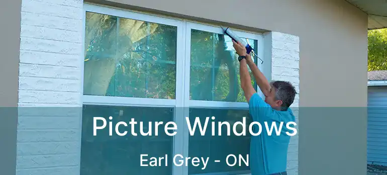 Picture Windows Earl Grey - ON