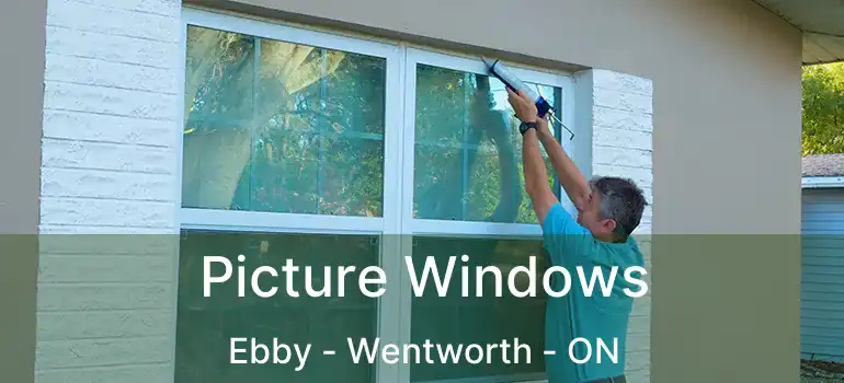  Picture Windows Ebby - Wentworth - ON