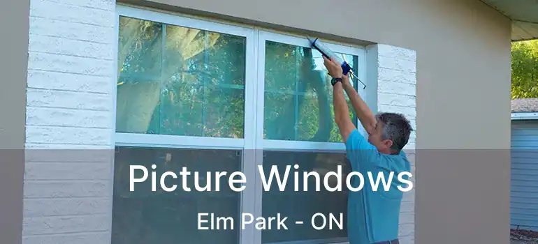  Picture Windows Elm Park - ON