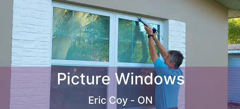  Picture Windows Eric Coy - ON