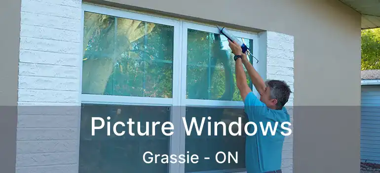  Picture Windows Grassie - ON
