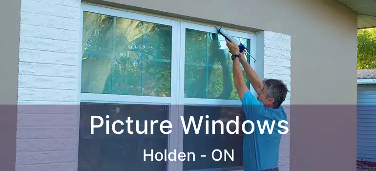  Picture Windows Holden - ON