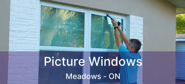  Picture Windows Meadows - ON