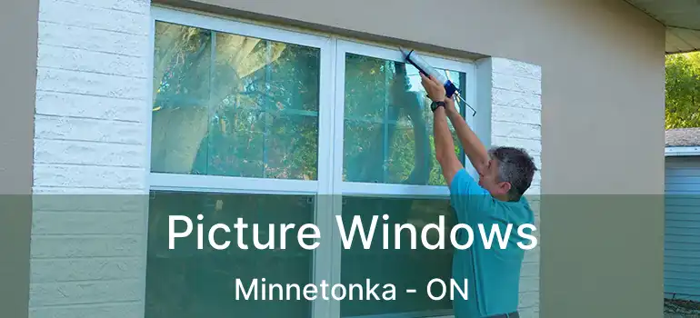  Picture Windows Minnetonka - ON