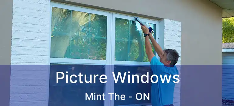  Picture Windows Mint The - ON