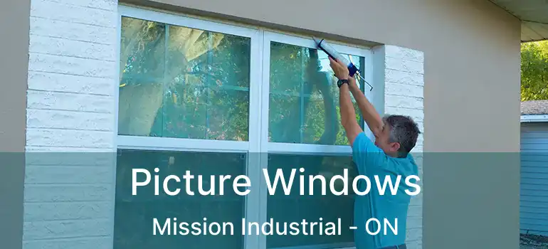  Picture Windows Mission Industrial - ON