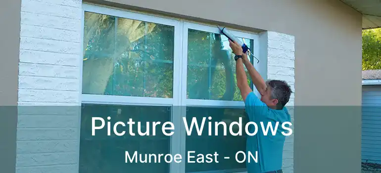  Picture Windows Munroe East - ON