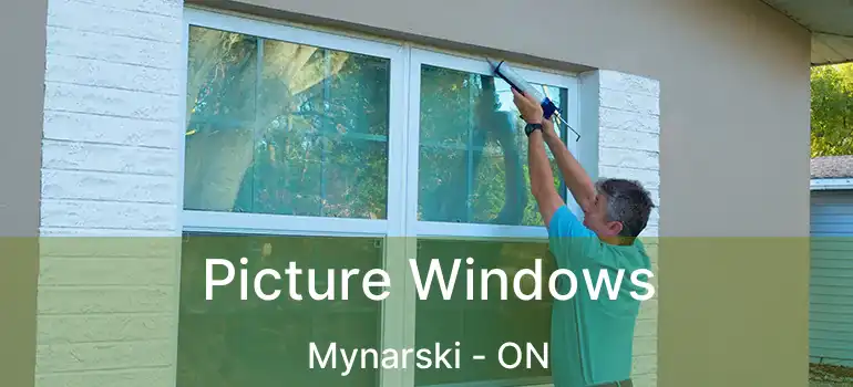  Picture Windows Mynarski - ON