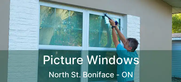  Picture Windows North St. Boniface - ON