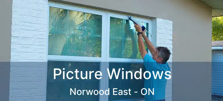  Picture Windows Norwood East - ON