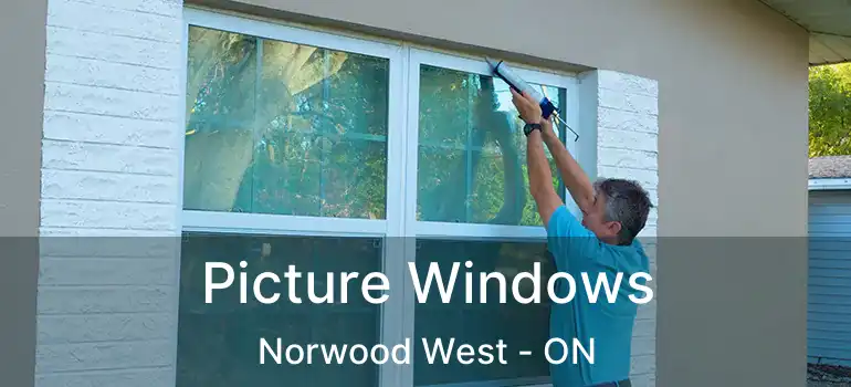  Picture Windows Norwood West - ON